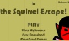 the Squirrel Escape!